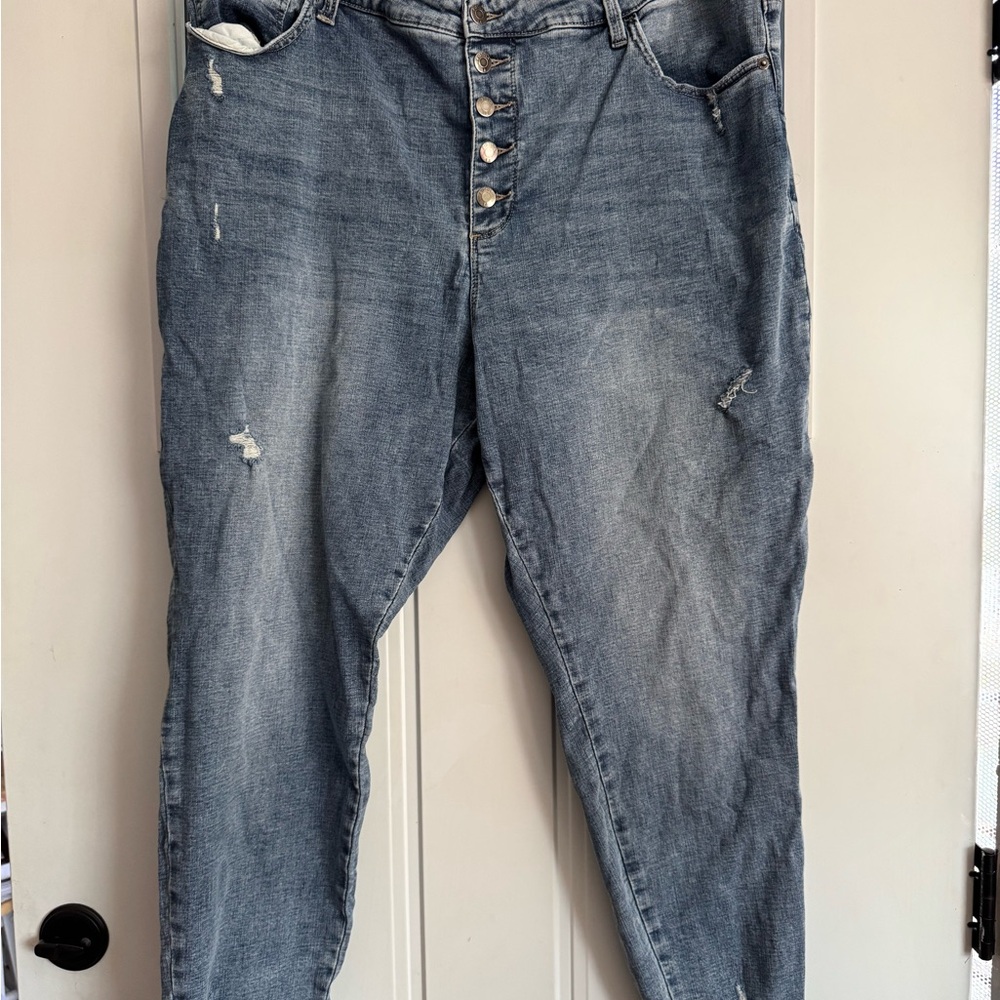 Pistola Distressed Plus Size Women’s Jeans 22W